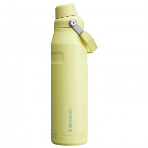 Stanley IceFlow Insulated Bottle with Fast Flow Lid | 36 OZ Pomelo | DIO954876