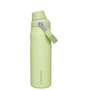 Stanley IceFlow Insulated Bottle with Fast Flow Lid | 24 OZ Citron | YTA490367
