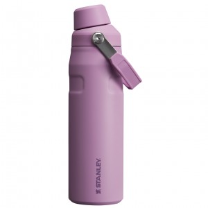 Stanley IceFlow Insulated Bottle with Fast Flow Lid | 24 OZ Lilac | EFA092185