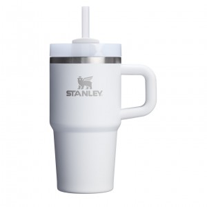 Stanley Quencher H2.0 Travel Tumbler With Handle & Straw | 20 OZ Frost | XPL315724