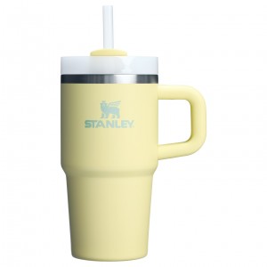 Stanley Quencher H2.0 Travel Tumbler With Handle & Straw | 20 OZ Pomelo | HGJ689572