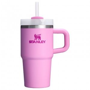 Stanley Quencher H2.0 Travel Tumbler With Handle & Straw | 20 OZ Peony | SMZ176849