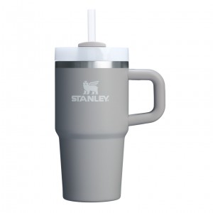 Stanley Quencher H2.0 Travel Tumbler With Handle & Straw | 20 OZ Ash | HOR213846