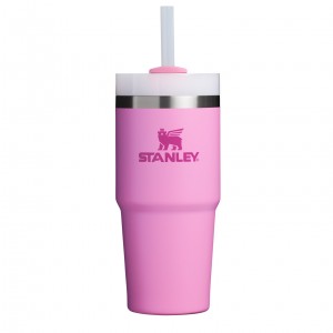 Stanley Quencher H2.0 Travel Tumbler | 14 OZ Peony | DIP024913