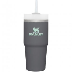 Stanley Quencher H2.0 Travel Tumbler | 14 OZ Charcoal | UTP542083
