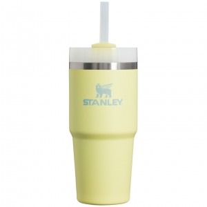 Stanley Quencher H2.0 Travel Tumbler | 14 OZ Pomelo | KUN169374