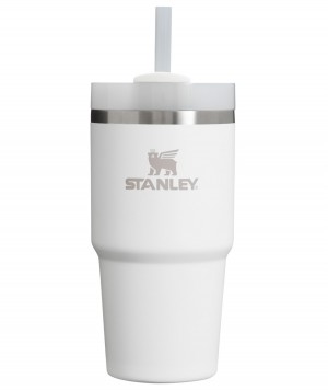 Stanley Quencher H2.0 Travel Tumbler | 14 OZ Frost | VHG247638