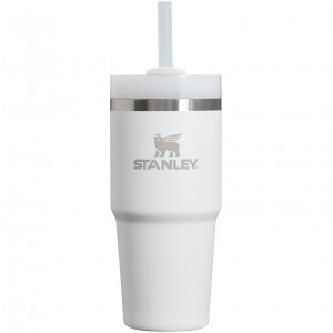 Stanley Quencher H2.0 Travel Tumbler | 14 OZ Frost | JSU492036