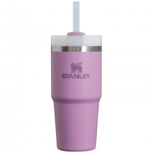 Stanley Quencher H2.0 Travel Tumbler | 14 OZ Lilac | RLE469270