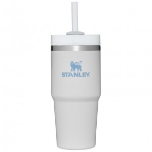 Stanley Quencher H2.0 Travel Tumbler | 14 OZ Fog | NOZ187024