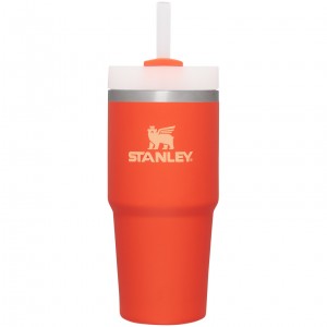 Stanley Quencher H2.0 Travel Tumbler | 14 OZ Tigerlily | GFA270853