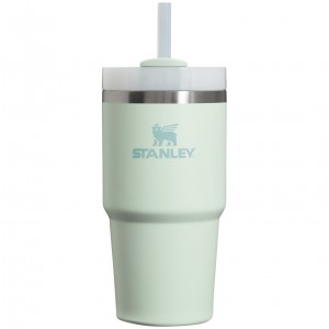 Stanley Quencher H2.0 Travel Tumbler | 20 OZ Mist | NRU297601