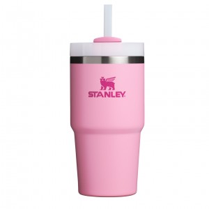Stanley Quencher H2.0 Travel Tumbler | 20 OZ Peony | UCH281937