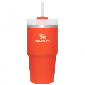 Stanley Quencher H2.0 Travel Tumbler | 20 OZ Tigerlily | WLY136450