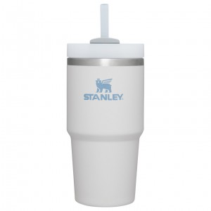 Stanley Quencher H2.0 Travel Tumbler | 20 OZ Fog | TAJ401637