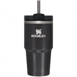 Stanley Quencher H2.0 Travel Tumbler | 20 OZ Černé | NPV394186