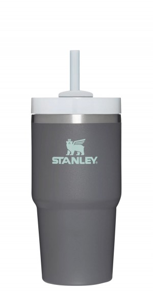 Stanley Quencher H2.0 Travel Tumbler | 20 OZ Charcoal | GFW853701