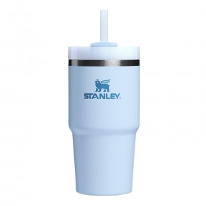 Stanley Quencher H2.0 Travel Tumbler | 20 OZ Glacier | DNL458716