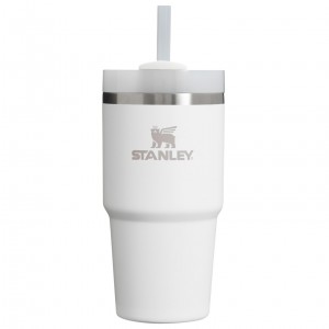 Stanley Quencher H2.0 Travel Tumbler | 20 OZ Frost | RQN609185