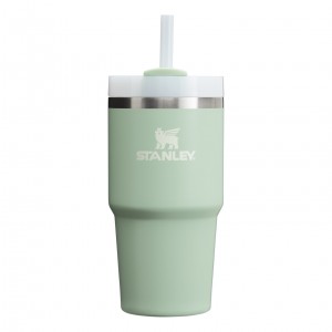 Stanley Quencher H2.0 Travel Tumbler | 20 OZ Krém | NCY137658