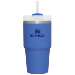Stanley Quencher H2.0 Travel Tumbler | 20 OZ Iris | KEB796435