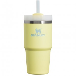Stanley Quencher H2.0 Travel Tumbler | 20 OZ Pomelo | DKZ517092
