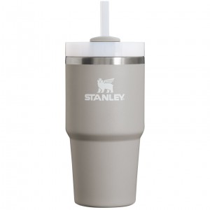 Stanley Quencher H2.0 Travel Tumbler | 20 OZ Ash | VXF921307