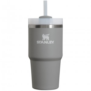 Stanley Quencher H2.0 Travel Tumbler | 20 OZ Stone | CDS326819