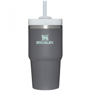 Stanley Quencher H2.0 Travel Tumbler | 20 OZ Charcoal | XSY748532