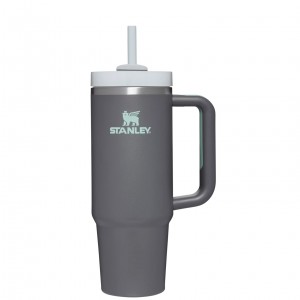 Stanley Quencher H2.0 Travel Tumbler | 30 OZ Charcoal | AEY015284