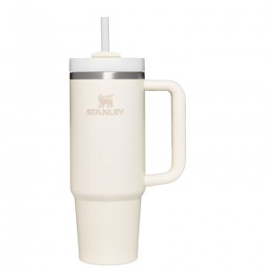 Stanley Quencher H2.0 Travel Tumbler | 30 OZ Krém | ZYE872610