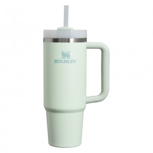 Stanley Quencher H2.0 Travel Tumbler | 30 OZ Mist | YNV706183