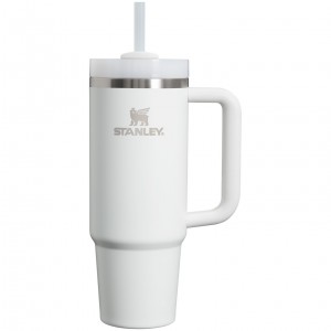 Stanley Quencher H2.0 Travel Tumbler | 30 OZ Frost | DAY314650