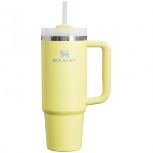 Stanley Quencher H2.0 Travel Tumbler | 30 OZ Pomelo | QOZ296531