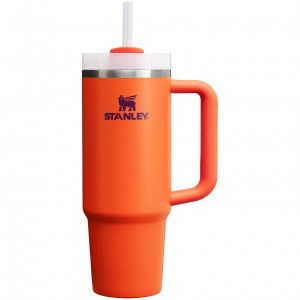 Stanley Quencher H2.0 Travel Tumbler | 30 OZ Tigerlily Plum | QLS760395