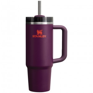 Stanley Quencher H2.0 Travel Tumbler | 30 OZ Plum | BUH458609