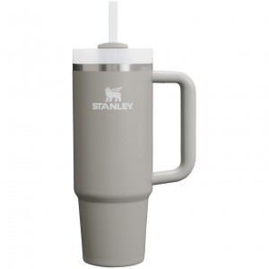 Stanley Quencher H2.0 Travel Tumbler | 30 OZ Ash | YTB436287