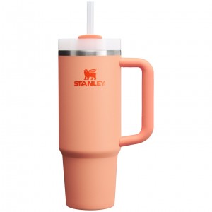 Stanley Quencher H2.0 Travel Tumbler | 30 OZ Nectarine | OWR473152