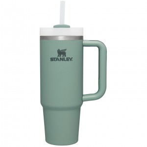 Stanley Quencher H2.0 Travel Tumbler | Soft Matte | 30 OZ Shale | EYH430259