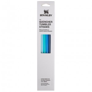 Stanley Replacement Straw 4 Pack | 30 oz Quencher Tumbler Blankyt | WJM543861