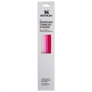 Stanley Replacement Straw 4 Pack | 30 oz Quencher Tumbler Růžové | DQJ534897