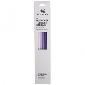 Stanley Replacement Straw 4 Pack | 30 oz Quencher Tumbler Fialové | HUT598470