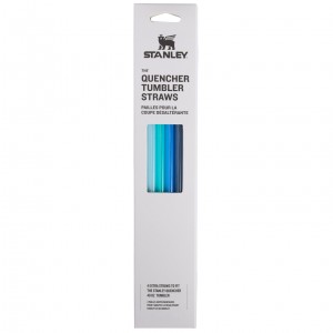 Stanley Replacement Straw 4 Pack | 40 OZ Quencher Tumbler Blankyt | BYR205486