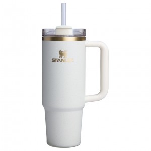 Stanley The Fall Refresh Quencher H2.O FlowState™ Tumbler I 30 OZ - Stanley Cr Krém | VWO317420