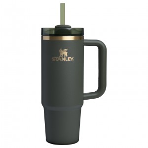 Stanley The Fall Refresh Quencher H2.O FlowState™ Tumbler I 30 OZ - Stanley Cr Cypress | EAH751360