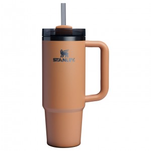 Stanley The Fall Refresh Quencher H2.O FlowState™ Tumbler I 30 OZ Camel | ZGP218953