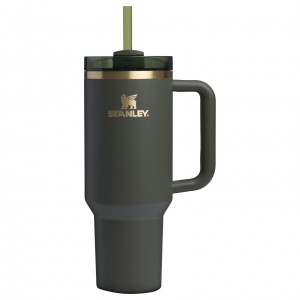 Stanley The Fall Refresh Quencher H2.O FlowState™ Tumbler I 40 OZ - Stanley Cr Cypress | PWO529874