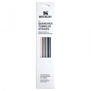 Stanley The Fall Refresh Replacement Straw 4 Pack | 30 oz Quencher Tumbler Fall Multi Pack | DWI761849
