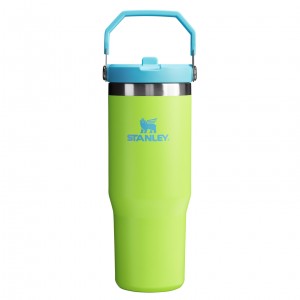 Stanley The Heat Wave IceFlow™ Flip Straw Tumbler | 30 OZ Bright Lime | VEY316072