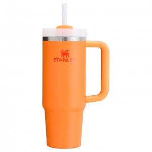 Stanley The Heat Wave Quencher H2.O FlowState™ Tumbler | 30 OZ Goldenrod | SHZ648957